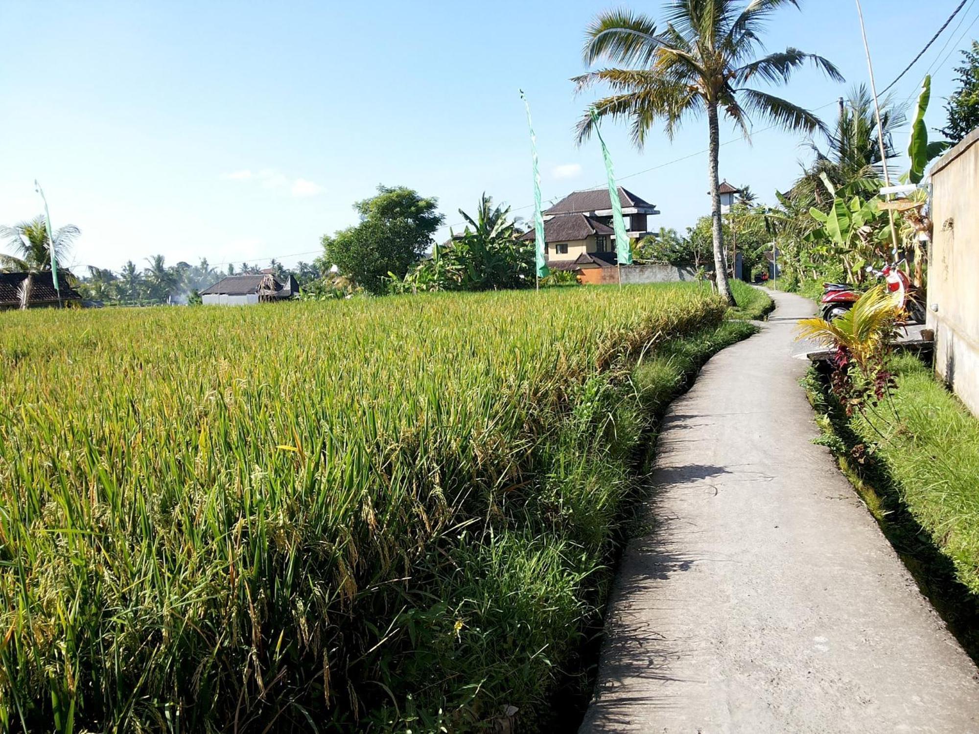 Jagi Pousada Ubud